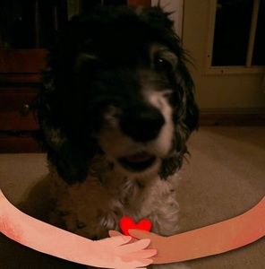 Meet your Posher, Julie